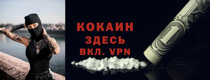 цена   Дубна  Cocaine 97% 